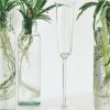 Homewares Crane Living | St Tropez Flared Champagne Flute